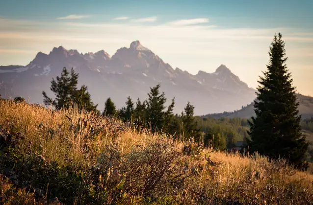 A view of the Grand Teton range near Jackson Hole representing the influence the surrounding landscape has on the professional architects at Farmer Payne.