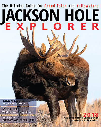 Jackson Hole Explorer
